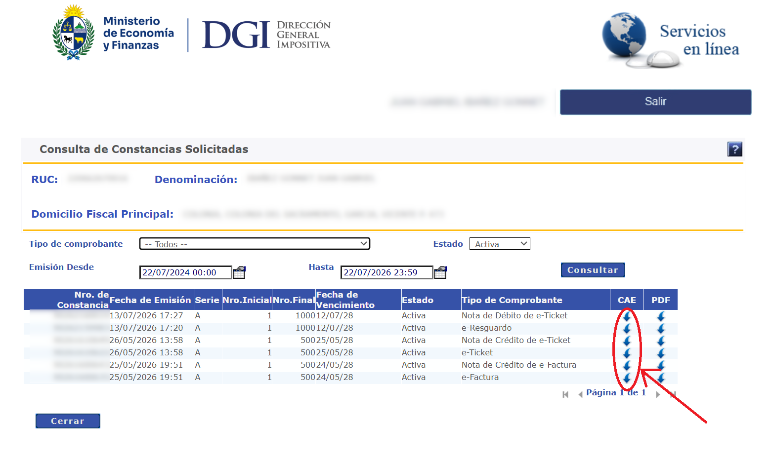 Descarga de CAE existente